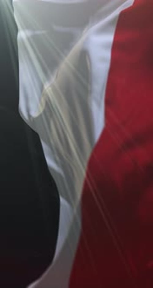 Realistic Waving Vertical Tri-Color Flag Background