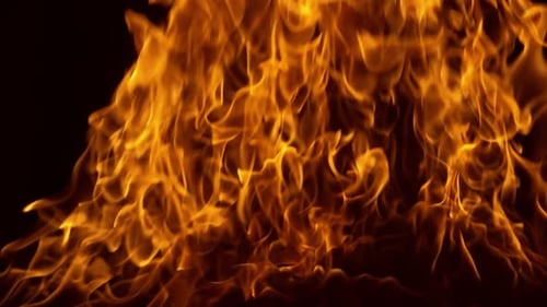 Dramatic Fire Flames Against Black Background Close Up