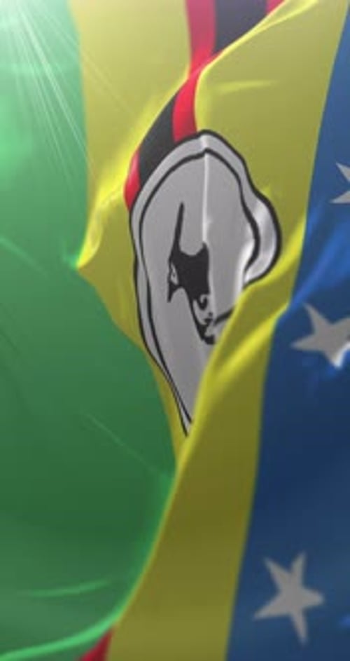 Vertical Waving National Flags Background Animation