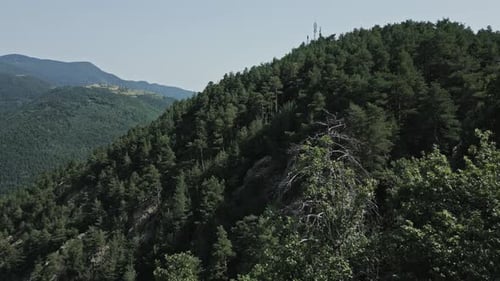 Aerial view of lush mediterranean forest covering mountain range