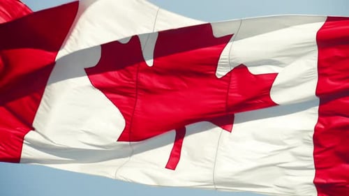 Canadian Flag Waving in the Wind