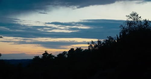Tranquil Sunset Silhouette of Forest Trees