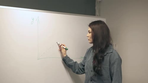 girl holds a lecture, business meeting, strategy analysis