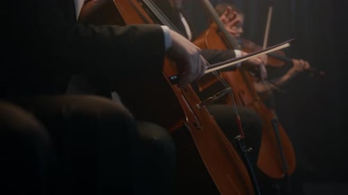 String Musicians Making Live Performance