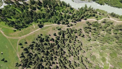 Breathtaking Aerial View of Winding River Through Lush Green Valley