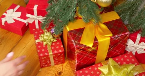 Beautiful Christmas Gifts Under Decorated Tree at Home