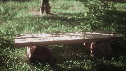Serene Garden Scene with a Majestic Tree and a Wooden Bench