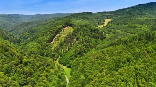 Rolling green hills landscape. Vibrant green hills stretch across the landscape