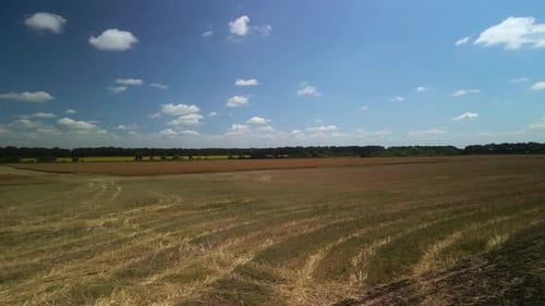 Canola field aerial view in Ukraine