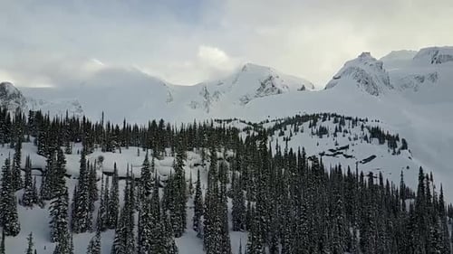 Drone rising straight up in elevation to reveal mountains behind treed ridgeline in winter