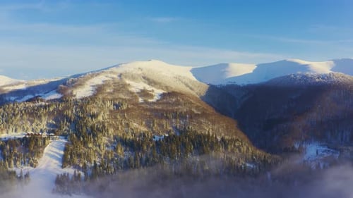 High Snowy Mountain Covered with Evergreen Fir Trees on a Sunny Cold Day