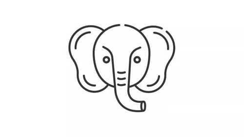Minimalist Elephant Head Line Art Animation