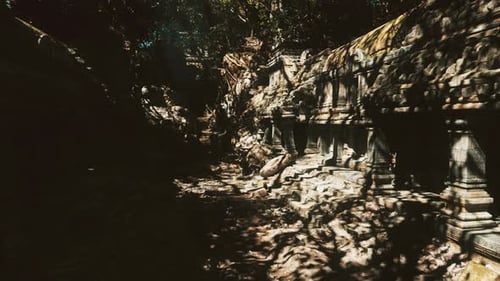 Sunlit Archaeological Site Hidden Within Dense Tropical Foliage