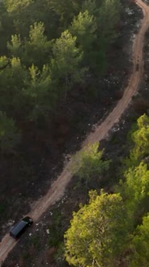 Vertical Video Mystical Forest Adventure Aerial View of Luxurious Car and Enchanting Greenery