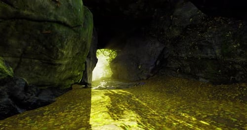 Mysterious Cave Entrance Illuminated By Sunlight in a Lush Green Forest