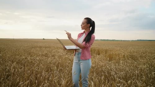Agronomist Woman Using a Laptop in a Wheat Field