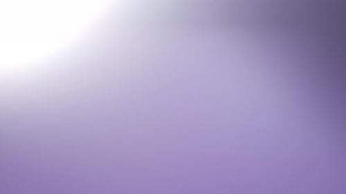 Modern Logo Reveal with Light Leak Transition