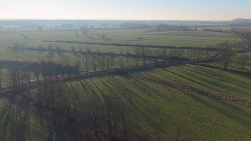 Aerial view of sprawling green farmlands and meadows in the morning light. Long tree shadows stretch