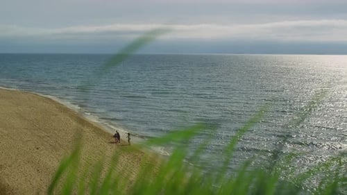 Family vacation on sandy beach coast at serene island nature landscape