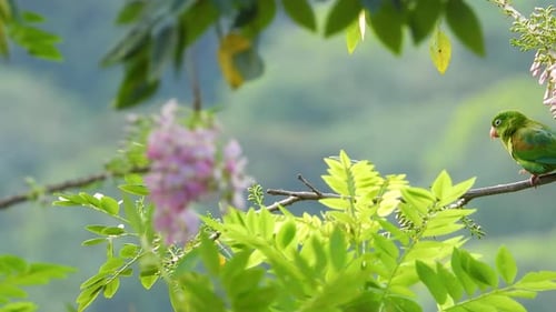 Vibrant green parrot perched on a branch with pink flowers and lush foliage, soft-focus background