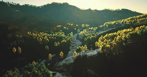Beautiful Winding Road Through Vibrant Fall Foliage at Sunrise in the Mountains