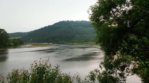 Stunning View of Summer Natural Environment in Cloudy Weather Cinematic Peaceful Lake Forest Hills