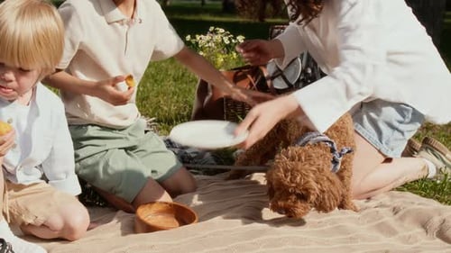 Family Picnic with Dog in Sunny Park