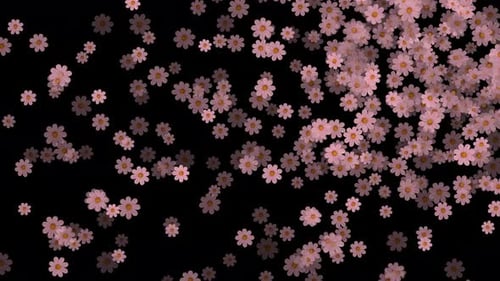 Falling Pink Flowers Overlay