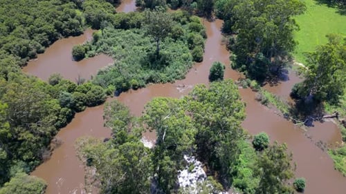 Drone top down of muddy flood waters, river expanded to engulf trees in countryside