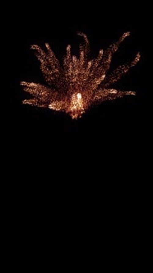 Fiery Golden Particle Burst Reveal Animation