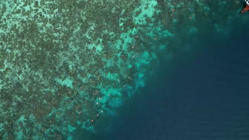 Coron Top Down 2(4k)