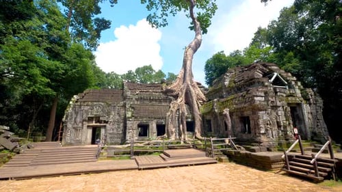 Site de tournage du film Tomb Raider, temple de Ta Prohm, Angkor Wat, monument national du Cambodge