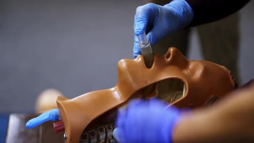 Medical Professional Inserts Tube Into Mannequin