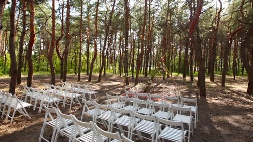 Beautiful Bohemian Tipi Arch Decoration on Outdoor Wedding Ceremony Venue in Pine Forest with Cones