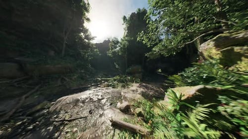 Tranquil Forest Cleft Featuring Glowing Stones and Flowing Water