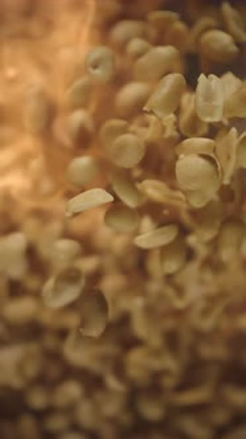 Crispy Roasted Salted Peanuts Falling in Super Slow Motion Close Up Hot Fried Peanuts Snacks with