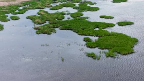 Aerial drone footage of small grassy wetland islands scattered in shallow water along the Lake