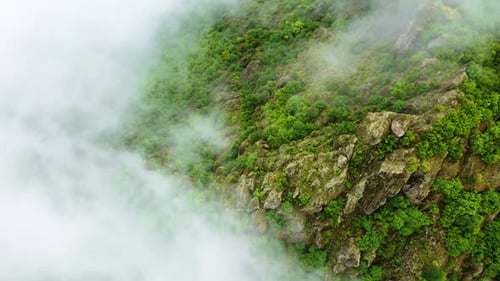 Nature Clouds Mountains Summer Forest Morning Fog Trees Aerial Beautiful Landscape Turkey