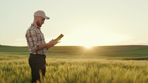 The Farmer is Standing in the Middle of a Wheat Field and Working on a Tablet