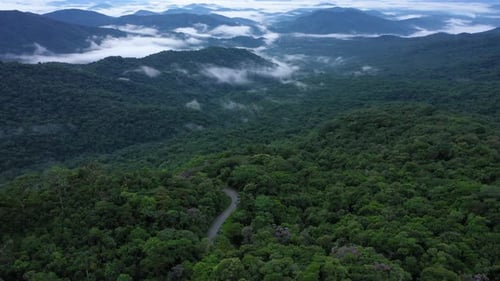 Lush Forest and Mountain Vista Aerial View