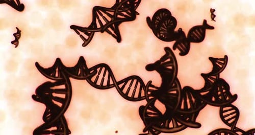 Exploring the Intricate World of Micro Scale DNA Structures and Patterns