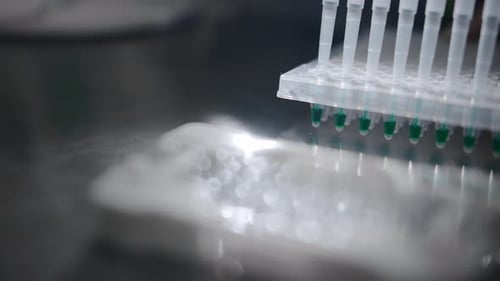 Several pipettes take the green liquid from the sample tubes and transfer it to the test tubes.