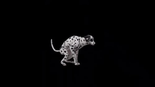 Animated Dalmatian Dog Pooping Green Screen Loop