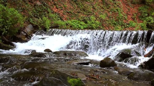 Spring Forest Waterfall Stream Sound