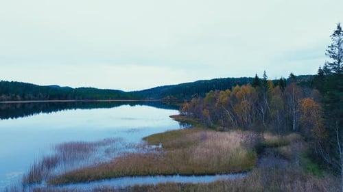 Reflections Over Serene Lake With Autumn Tree Forest. Aerial Wide Shot