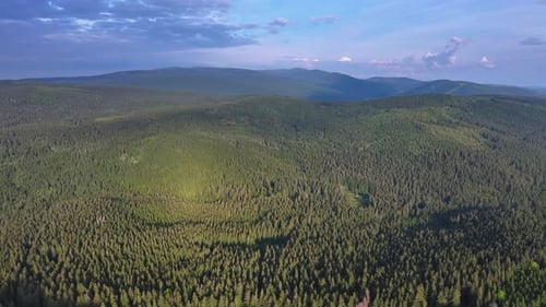 Flight over a dense forest in partly cloudy weather.