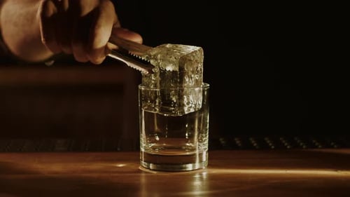 Bartender Adds Ice to Glass at Bar