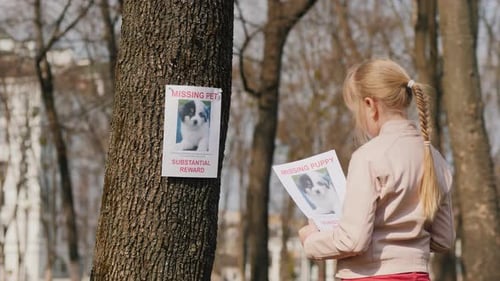 Girl with a Poster About His Missing Dog Pet Search