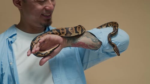Propriétaire multiethnique tatoué avec Python Snake