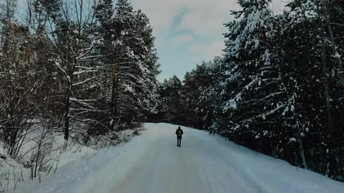 Man walking in winter pine forest landscape.